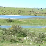 Hétvégi ház Rural - La Osa Mayor - 4 Estrellas *