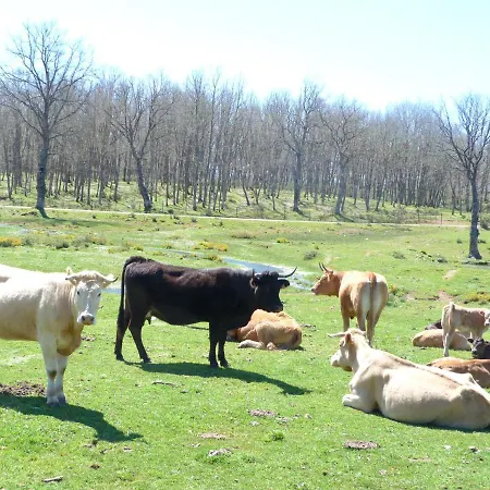Rural - La Osa Mayor - 4 Estrellas Lantställe Villasrubias