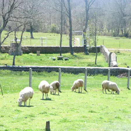 Rural - La Osa Mayor - 4 Estrellas Lantställe Villasrubias