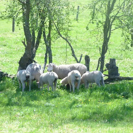 Rural - La Osa Mayor - 4 Estrellas Villasrubias