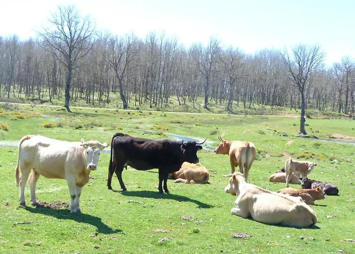 Rural - La Osa Mayor - 4 Estrellas Casa rural Villasrubias
