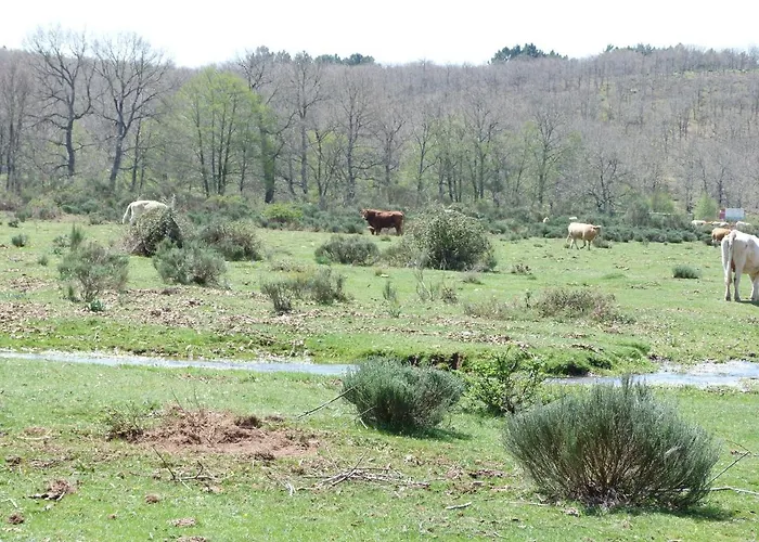 Rural - La Osa Mayor - 4 Estrellas