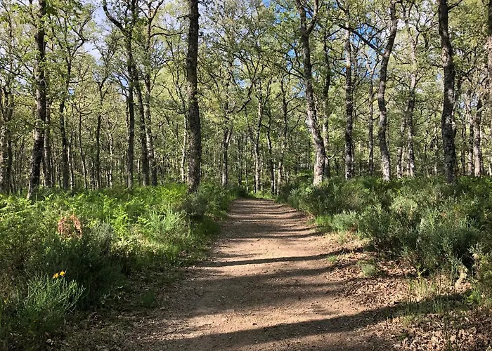 Casa rural Rural - La Osa Mayor - 4 Estrellas *