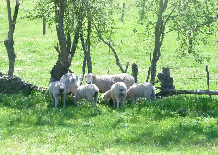 Rural - La Osa Mayor - 4 Estrellas Villasrubias