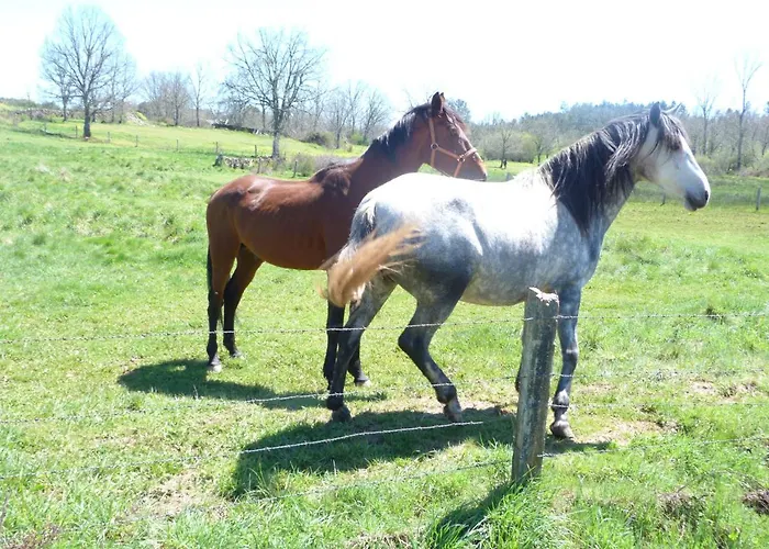 Rural - La Osa Mayor - 4 Estrellas * Villasrubias