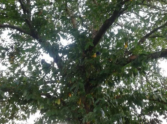 Rural - La Osa Mayor - 4 Estrellas Casa rural