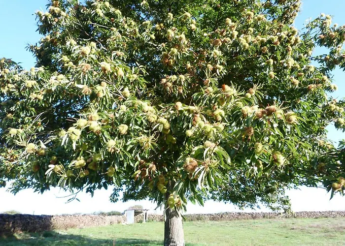 Casa rural Rural - La Osa Mayor - 4 Estrellas *