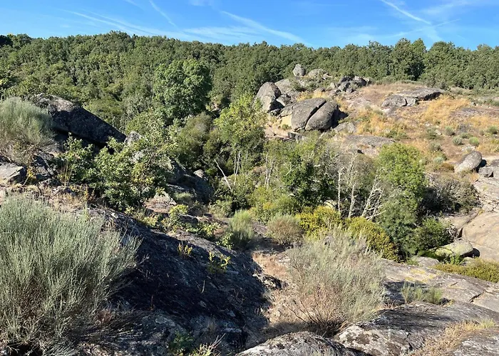 Rural - La Osa Mayor - 4 Estrellas